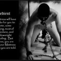 Elegantm photo on Jungo Live