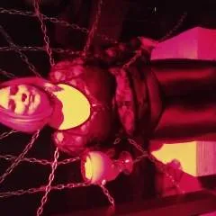 Noxturna photo on Jungo Live