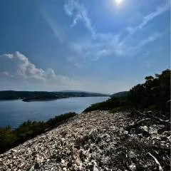 Kitti photo on Jungo Live