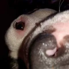 Lady Remedy photo on Jungo Live