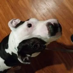 Lady Remedy photo on Jungo Live