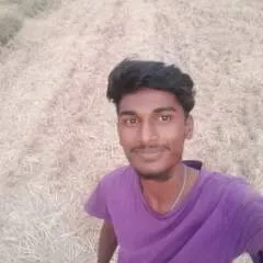 Bunny photo on Jungo Live