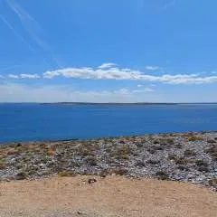 Zoki photo on Jungo Live