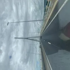 Zoyx photo on Jungo Live