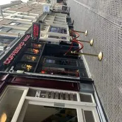 Zoyx photo on Jungo Live