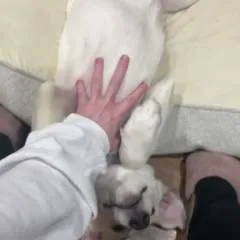 Crystal Floyd photo on Jungo Live