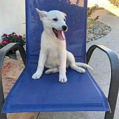 Crystal Floyd photo on Jungo Live