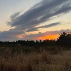 Danie.... photo on Jungo Live