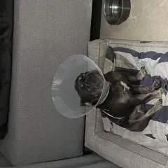 Browner photo on Jungo Live