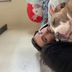 Josh photo on Jungo Live