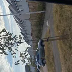 Vikingd90 photo on Jungo Live