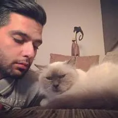 Jacattani photo on Jungo Live