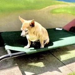 Mrmaddie photo on Jungo Live