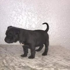 Slay photo on Jungo Live