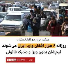 Sam photo on Jungo Live