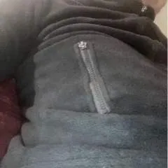 Teddy photo on Jungo Live