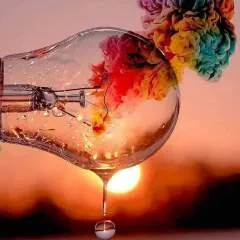 Sirius photo on Jungo Live