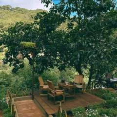 Sirius photo on Jungo Live