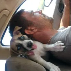 Peach photo on Jungo Live