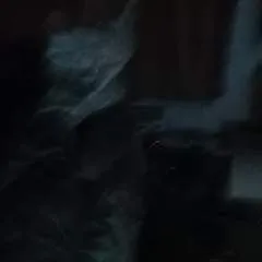 Tdfun photo on Jungo Live