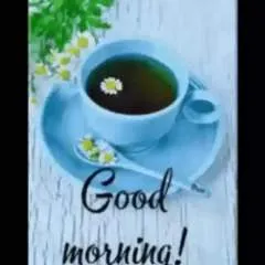 Romantic Boy photo on Jungo Live