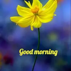 Kingini photo on Jungo Live