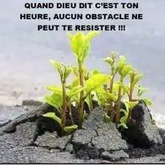 Donald photo on Jungo Live