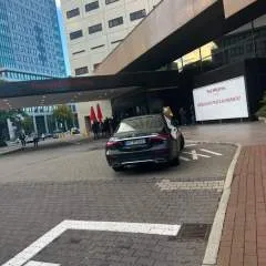 Seed Success photo on Jungo Live