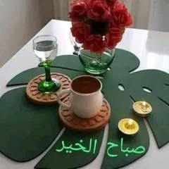 Tabadel photo on Jungo Live