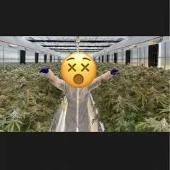 Long Jon Silver photo on Jungo Live