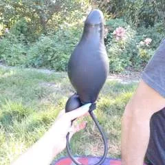 Mpspatricia photo on Jungo Live