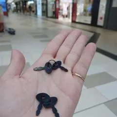 Mpspatricia photo on Jungo Live