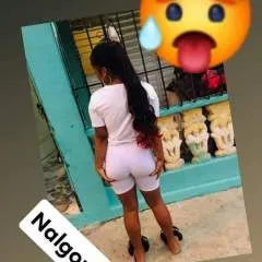 Kinlauri photo on Jungo Live