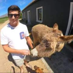 Honeybadger photo on Jungo Live