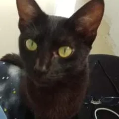 Kisses photo on Jungo Live