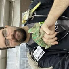 Kadin photo on Jungo Live