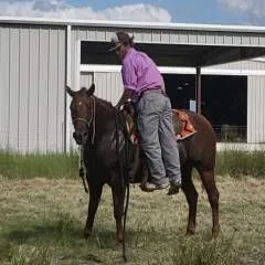 Rope photo on Jungo Live