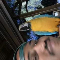 Christian Roff photo on Jungo Live