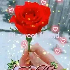 Dickless photo on Jungo Live