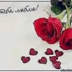 Евгений photo on Jungo Live