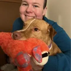 Petoria photo on Jungo Live