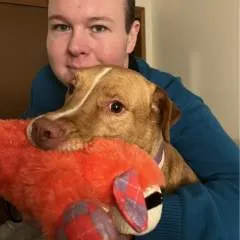 Petoria photo on Jungo Live