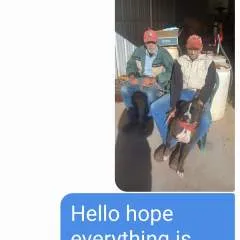 Murphy photo on Jungo Live