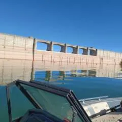 Murphy photo on Jungo Live