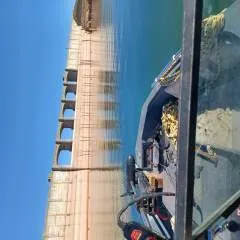 Murphy photo on Jungo Live