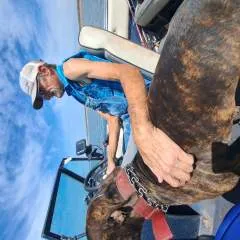 Murphy photo on Jungo Live