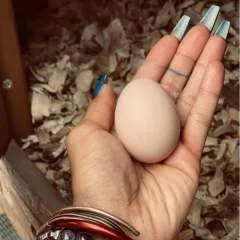 Priestess Clara photo on Jungo Live