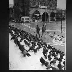 Optimaculture photo on Jungo Live