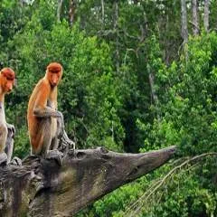 Salax photo on Jungo Live