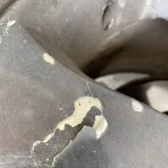 Daniel Machin photo on Jungo Live